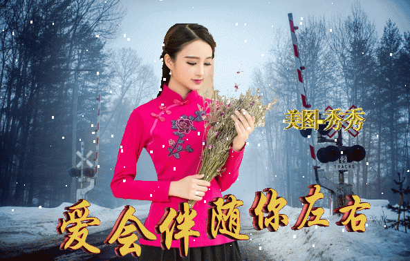 喜鹊在叫 你在笑 我在祈祷 愿你天天没烦恼   