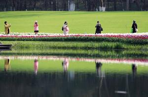 Tai Zi Wan's Most Beautiful Flower Season: Visitors Viewing in Order