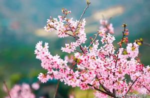 Longhu Ecological Valley Closed Garden Notification!