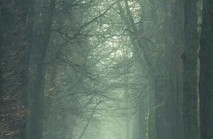 Psychology: Which path looks the most eerie to you? Test your personality to see how simple it really is?