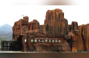 Xinjiang Fifth Station – Ürümqi Tianshan Wild Animal Park
