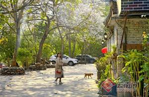 Nako Town Tourism in Yunnan Gradually Warms Up and Recovers