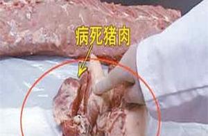 Identifying Fresh Pork and Diseased Pork