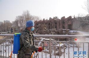Operation Restart Observations at the Qinghai Tibetan Plateau Wild Animal Park
