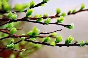 Years' Reflections · Fragments of Conversation: Deep Emotion or Profound Love
