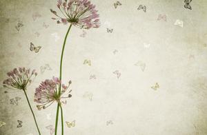 From now on, I will no longer expect, but cherish what I have.