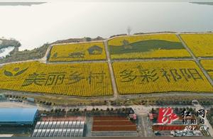 The Beautiful Rural Revitalization Picture of Qiyang is Unfolding