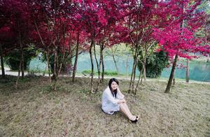 It's another blooming season, purple lilac blossoms are in full bloom in Naxiejiang, waiting another year to see them.