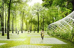 Occupying 1800 Mu! Luzhou’s New Wetland Park is About to Open!