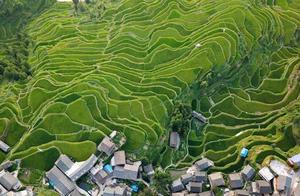 First Village of Guizhou Dong Minority, Famous for Drum Towers, Once Selected as 'China's Six Most Beautiful Rural Ancient Towns'