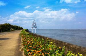 Guangzhou Has a 'Conscientious' Small Island: A Free 3A Scenic Area That Many Tourists Don't Know About