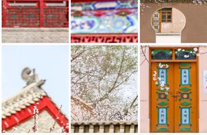 This place's apricot blossoms are as beautiful as the Forbidden City's! Netizens: As beautiful as the Imperial Garden.