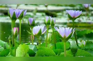 It's only when there are regrets that life is truly meaningful; flaws appearing occasionally represent authenticity.