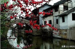 Spring in Tongri Ancient Town: Enhanced by Blooming Peonies, Displaying a Delicate and Graceful Beauty