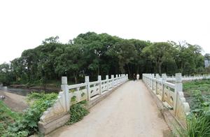 Entering Gan West·Yifu·Feng Shui Forest – Zhangjia Village Port Villager Group