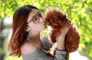 Raising Dogs, I Only Want to Raise ‘Teddy Bears’ – These 6 Reasons Make Me Unable to Refuse