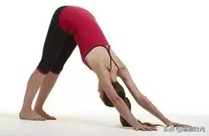 Daily Downward-Facing Dog Practice Reveals Amazing Results