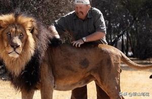 The World's Most Ferocious and Precious Animal, with Less Than 120 Individuals Globally, None in China