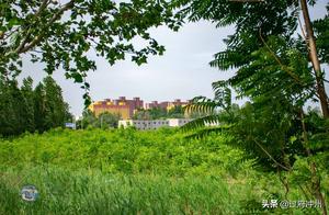 Xiong'An's 'Spring': Not Building Tall Buildings but Planting Trees, The Future City Might Be Loved by Everyone