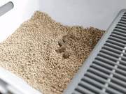High-Tech Cat Litter Box, Focusing on Cat Excretion, Protecting the Owner's Health