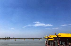 Shangqiu: The Perfect Time for 'Teenage Pilgrimage' and Flower Viewing | The Spring You Want to Meet is Here (5)