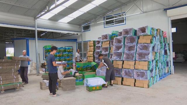 新华网客户端瓜州县:壮大多元富民产业 巩固提升脱贫成果
