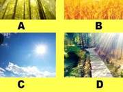 Which ray of sunlight is the most blinding? Test your level of life stress.
