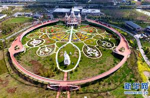 Flowers in Bloom, Warm Spring Returns: Shanghai Pudong Grand Park Reopens