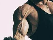 Muscle Strength, Bulky Muscle: Different Training Schemes