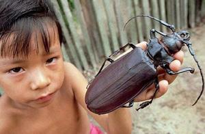 These animals are a little scary because they are big!