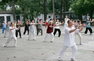 Traditional Martial Arts - Taijiquan, Complete Guide to Beginner Learning Steps (All-in-One Online)