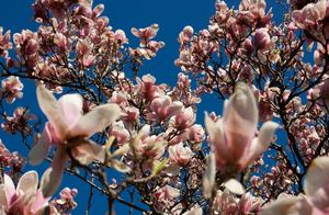 Spring, Returning
