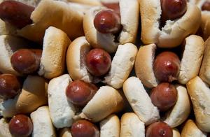 Don't Put Anything in Dogs' Mouths, Even Dog-Shaped Hot Dogs – It Depends on the Ingredients