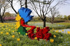 Springtime, Waiting for You: The Xixi Wet Land Flower Viewing Festival is a breathtaking spectacle with over a million pots of flowers!