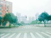 New Discovery! The Red and Green Lights at a Four-Way Stop Become Psychological Test Instruments