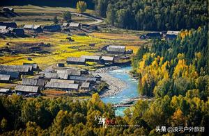 Birch Forest: The Tranquil Haven for the Soul's Return