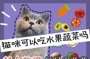 Comprehensive Collection: Can Cats Eat Fruits and Vegetables? Cat Owner's Guide