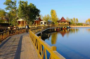 Hefei Chaohu Forest Park: Cycling in Autumn is Great