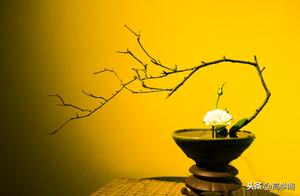Emotion || Wu XueLu: Understanding is the Highest Level of Love!