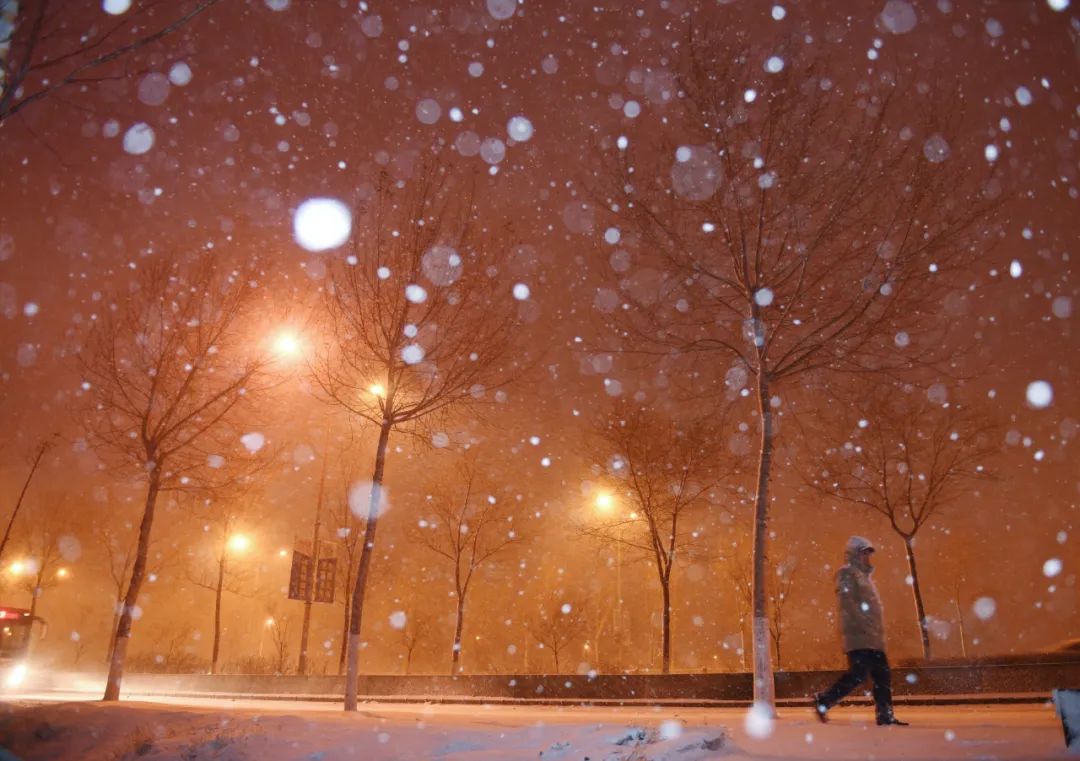 小雪|今日小雪，曼舞盼君来