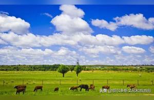 Spring, I'm waiting for you in Ordos!