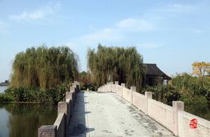 Lake Zhou Rural Tourism. In the Rice Paddies.