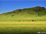 Inner Mongolia Really Can Drink, Shandong Guys Were Impressed