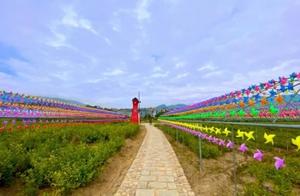 Amazing! Yongtai, Fuzhou, Hides a 'Windmill Garden'