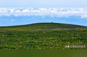 Ili Grassland: A Hidden Gem in the Heartland, a Sea of Flowers, 50 Kilometers from the World Heritage Site of Kara-Su