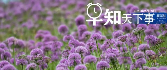 新冠|早知天下事｜“十三五”期间我国累计完成防沙治沙任务1000多万公顷