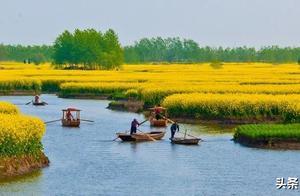 Go See Flowers Here! Hurry Up and Prepare!