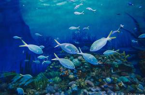 Shanghai Haichang Park: Thousands of World Marine Species, Close Interaction Without Leaving Home