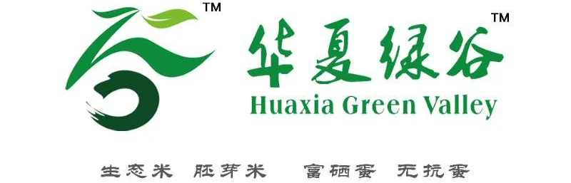教练|马上开工，是时候动起来恢复一下身材了