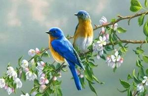 Hearing the Birds of Spring, Meng Haoran Composed a Poem That Echoes Through the Ages